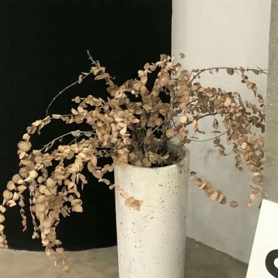 兽设洞穴场景设计Furry群